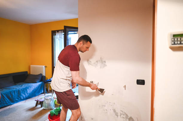 Best Office Mold Removal Services  in Hughesville, PA